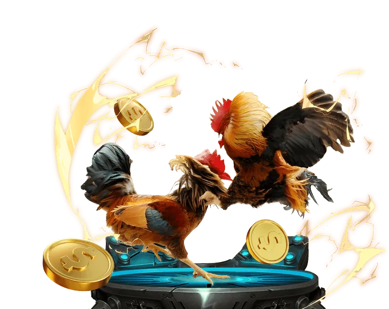 Biểu đồ quản lý tài chính với các chip poker